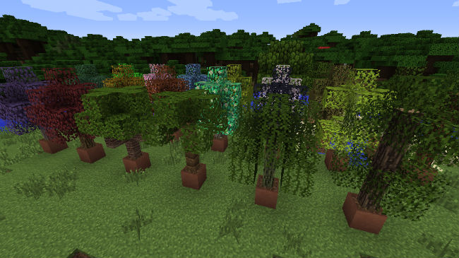 Jardín-Stuff-Mod-8.jpg