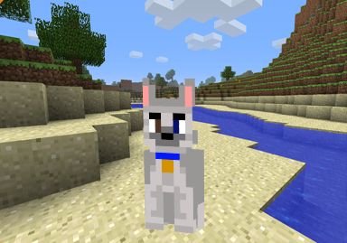 Descargar Skin perro Husky Minecraft