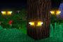 NormaConstructor  mod Minecraft PE